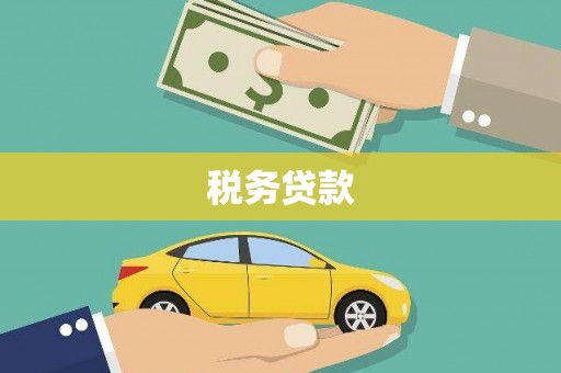 延平税务贷款