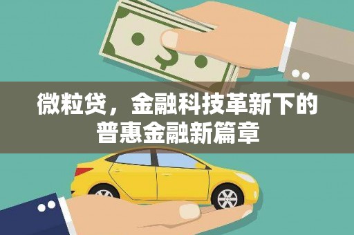 延平微粒贷，金融科技革新下的普惠金融新篇章