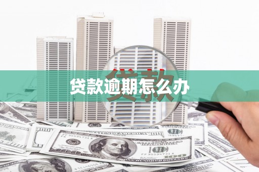 延平贷款逾期怎么办