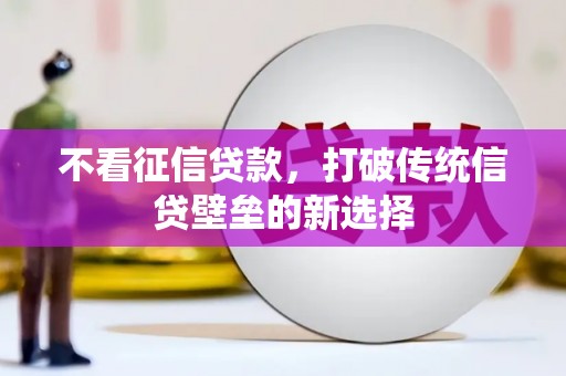 延平不看征信贷款，打破传统信贷壁垒的新选择