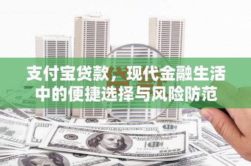 延平支付宝贷款，现代金融生活中的便捷选择与风险防范