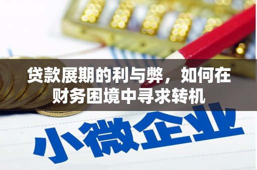 延平贷款展期的利与弊，如何在财务困境中寻求转机