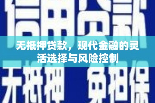 延平无抵押贷款，现代金融的灵活选择与风险控制