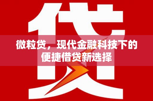 延平微粒贷，现代金融科技下的便捷借贷新选择