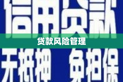 延平贷款风险管理