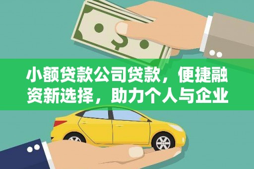 延平小额贷款公司贷款，便捷融资新选择，助力个人与企业成长