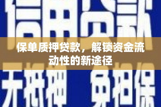 延平保单质押贷款，解锁资金流动性的新途径