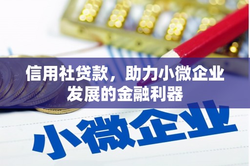 延平信用社贷款，助力小微企业发展的金融利器