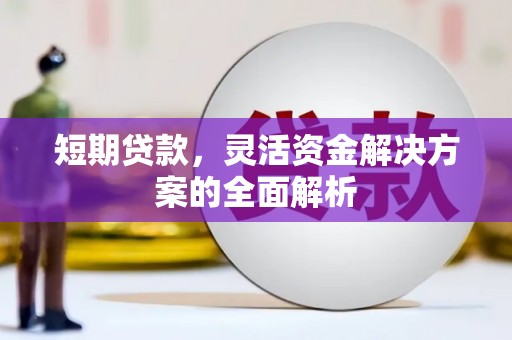 延平短期贷款，灵活资金解决方案的全面解析