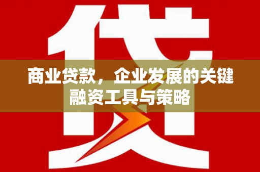 延平商业贷款，企业发展的关键融资工具与策略