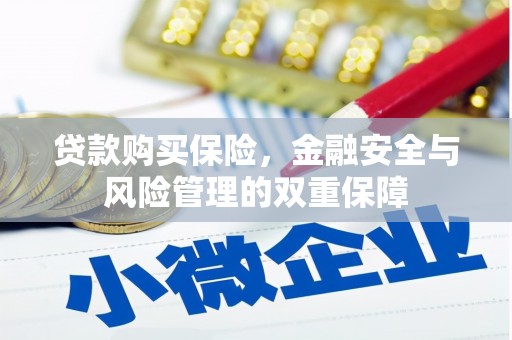 延平贷款购买保险，金融安全与风险管理的双重保障