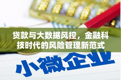 延平贷款与大数据风控，金融科技时代的风险管理新范式