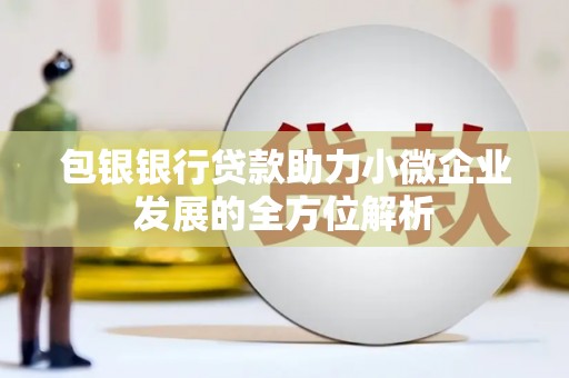延平包银银行贷款助力小微企业发展的全方位解析