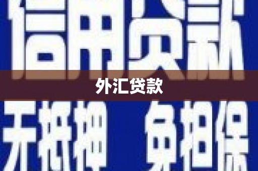 延平外汇贷款