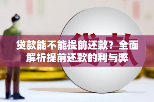 延平贷款能不能提前还款？全面解析提前还款的利与弊