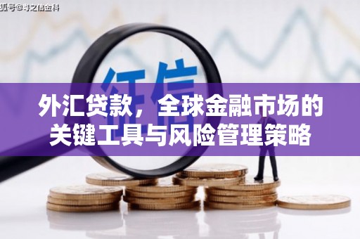 延平外汇贷款，全球金融市场的关键工具与风险管理策略