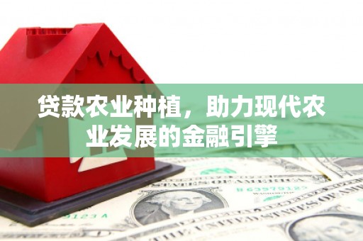 延平贷款农业种植，助力现代农业发展的金融引擎