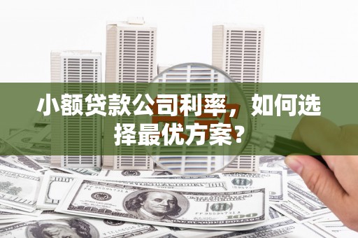 延平小额贷款公司利率，如何选择最优方案？