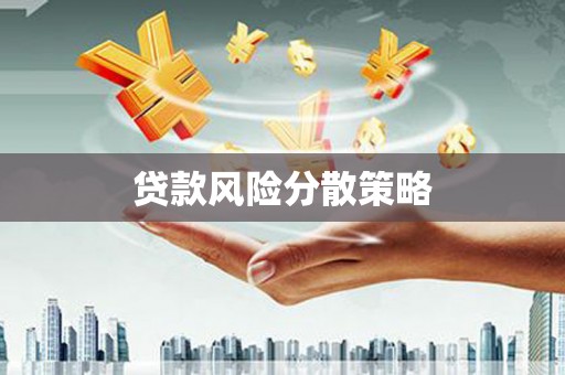 延平贷款风险分散策略