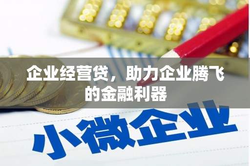 延平企业经营贷，助力企业腾飞的金融利器