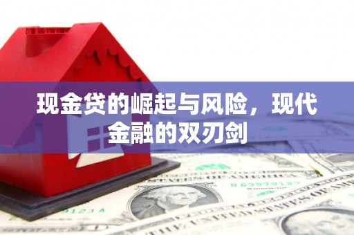 延平现金贷的崛起与风险，现代金融的双刃剑