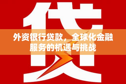 延平外资银行贷款，全球化金融服务的机遇与挑战