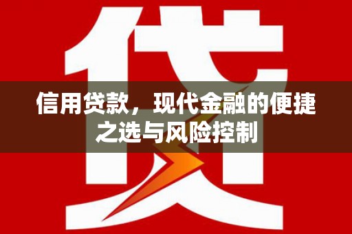 延平信用贷款，现代金融的便捷之选与风险控制