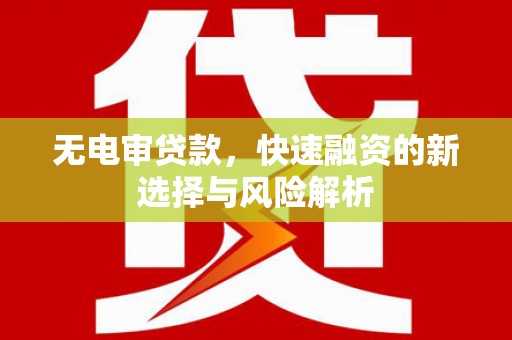 延平无电审贷款，快速融资的新选择与风险解析