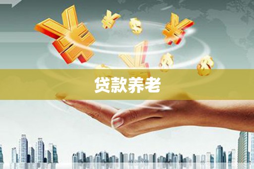 延平贷款养老
