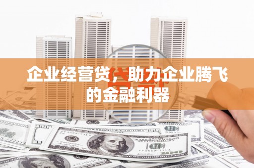 延平企业经营贷，助力企业腾飞的金融利器