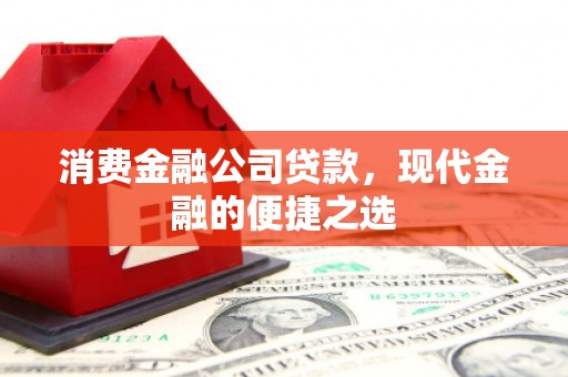 延平消费金融公司贷款，现代金融的便捷之选