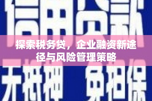 延平探索税务贷，企业融资新途径与风险管理策略