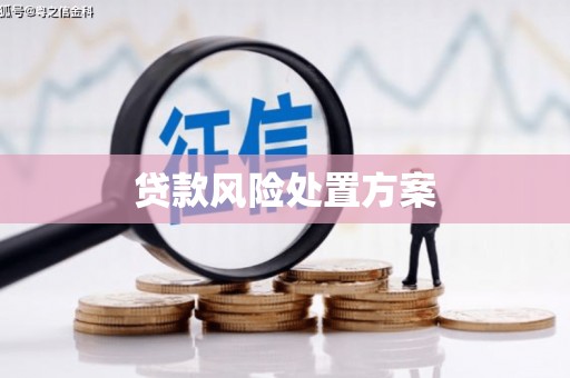 延平贷款风险处置方案