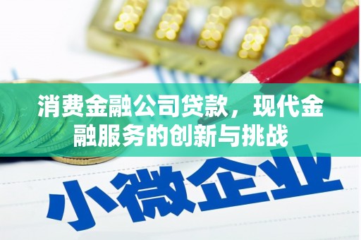 延平消费金融公司贷款，现代金融服务的创新与挑战