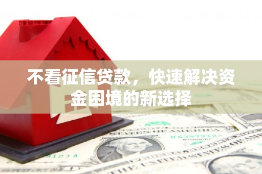 延平不看征信贷款，快速解决资金困境的新选择
