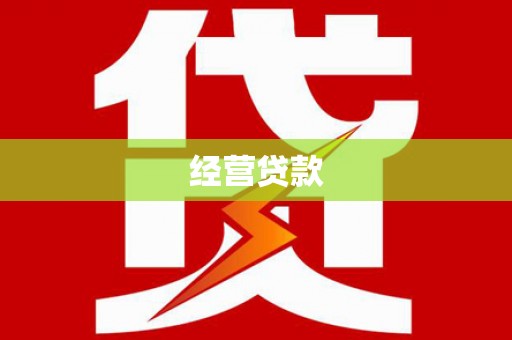 延平经营贷款