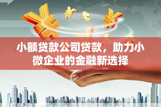 延平小额贷款公司贷款，助力小微企业的金融新选择