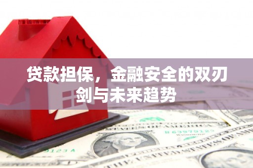 延平贷款担保，金融安全的双刃剑与未来趋势