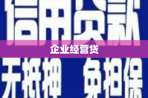 延平企业经营贷