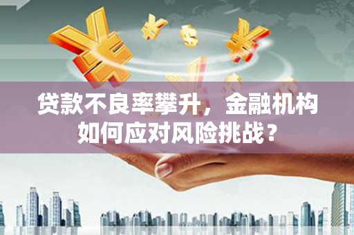 延平贷款不良率攀升，金融机构如何应对风险挑战？