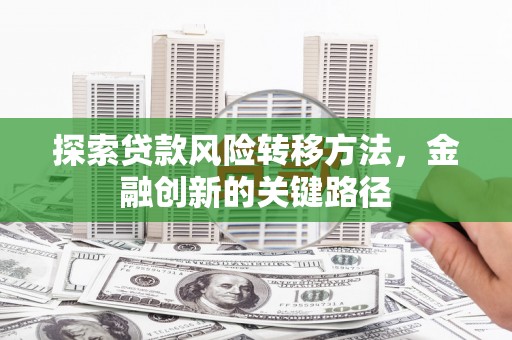 延平探索贷款风险转移方法，金融创新的关键路径