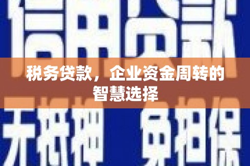 延平税务贷款，企业资金周转的智慧选择