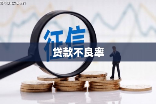 延平贷款不良率