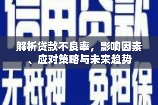 延平解析贷款不良率，影响因素、应对策略与未来趋势