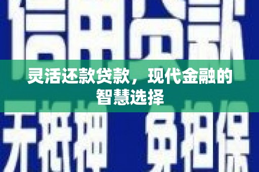 延平灵活还款贷款，现代金融的智慧选择