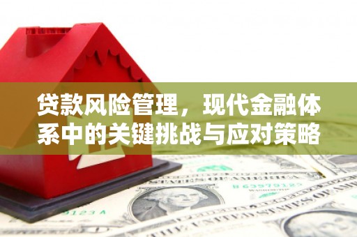延平贷款风险管理，现代金融体系中的关键挑战与应对策略