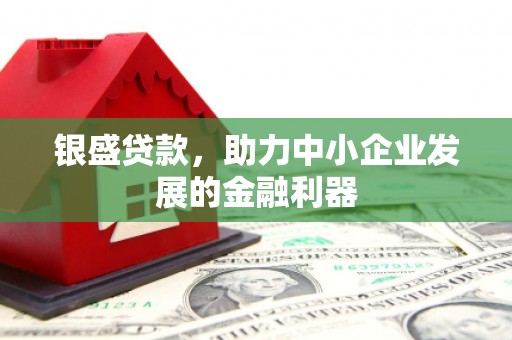 延平银盛贷款，助力中小企业发展的金融利器