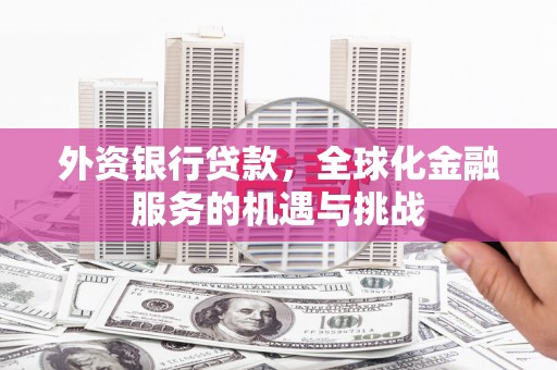 延平外资银行贷款，全球化金融服务的机遇与挑战