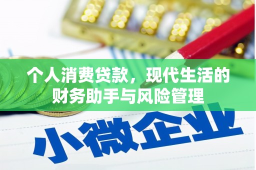 延平个人消费贷款，现代生活的财务助手与风险管理