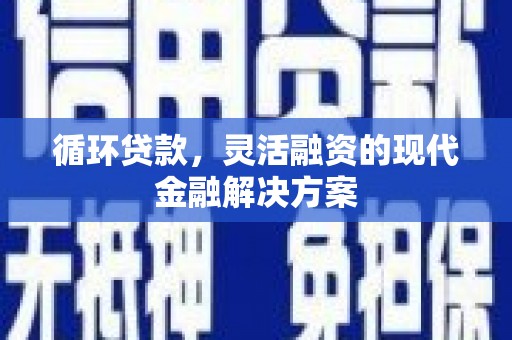 延平循环贷款，灵活融资的现代金融解决方案